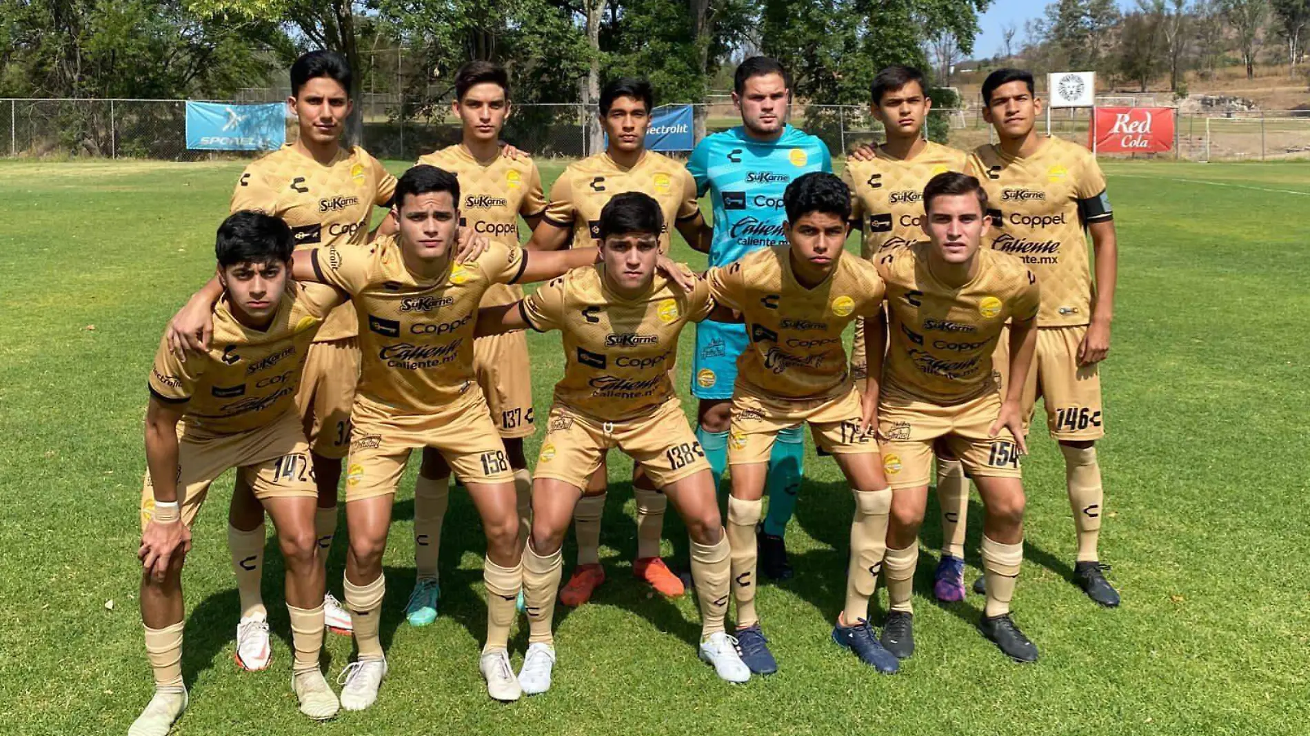 dorados reciben a leones negros